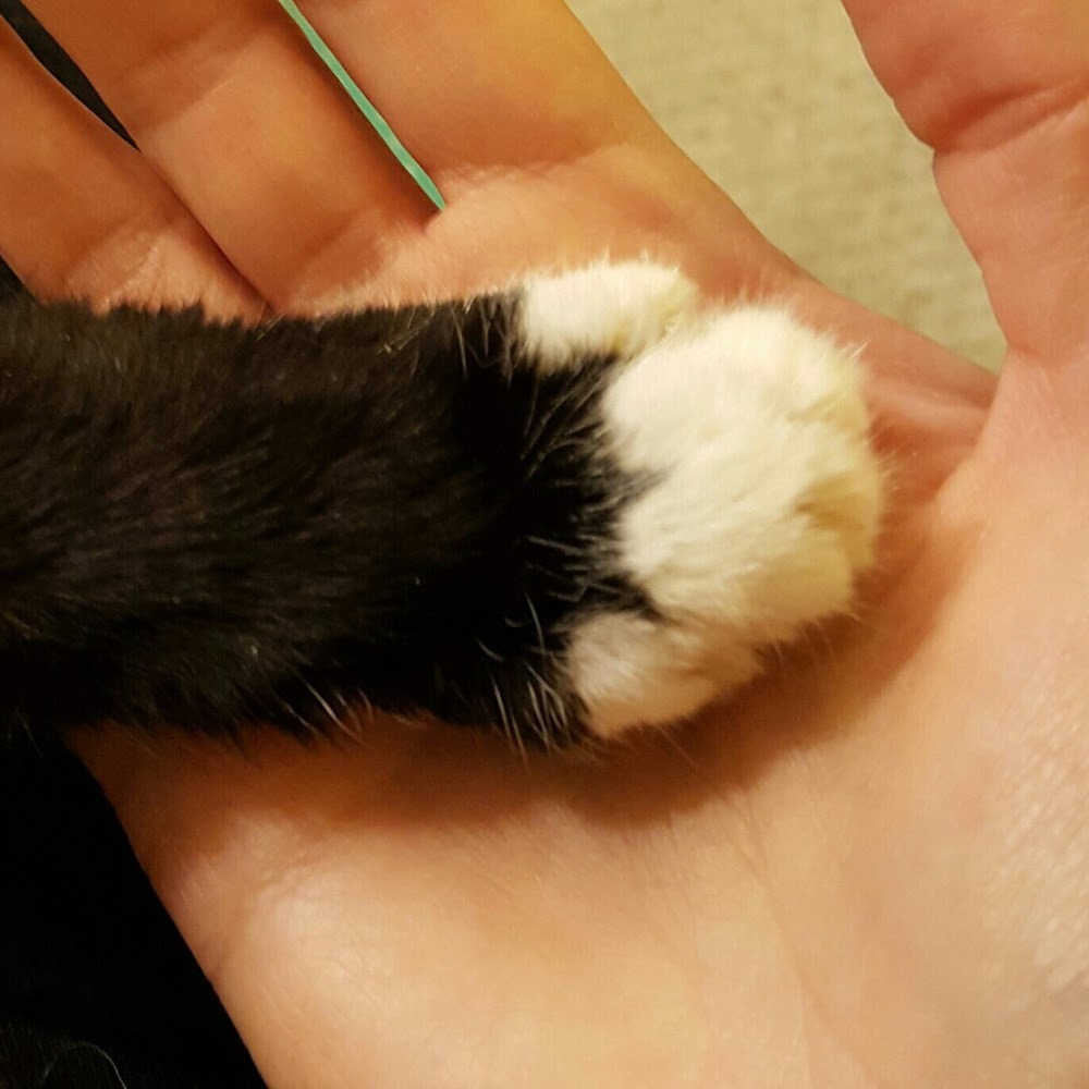 Meet your Posher, Marie